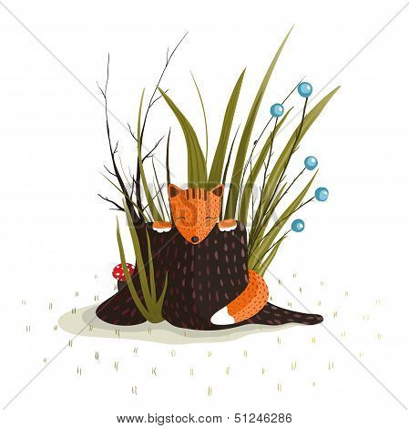 Little Fox Sitting in Forest behind the Stump