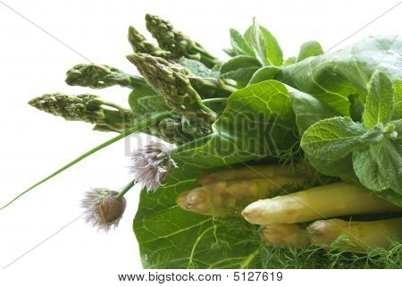 Spargel aus Garten