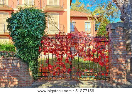 Red vine covers metal gate as part of brick fence at the entrance to typical italian house in Piedmont, Northern Italy.