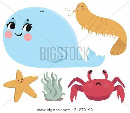 Sea Animals Collection