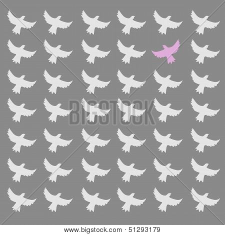 Pink Bird Differrent From The Other