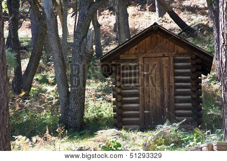The Outhouse