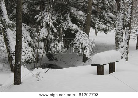 Bench by the Water