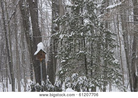 Bird House
