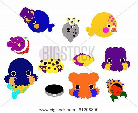 Ocean animals