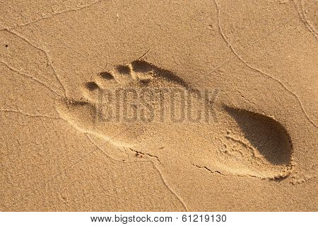 Footsteps in sandy on the beach
