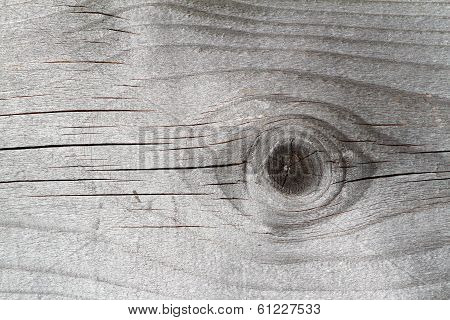 Spruce Plank Texture
