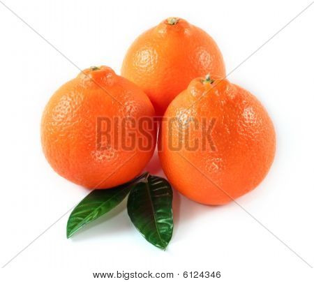 Orange Isolated