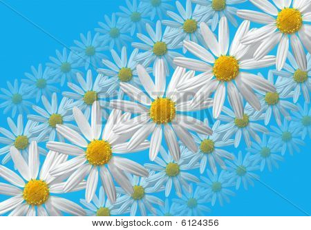 Flowers Linear Composition