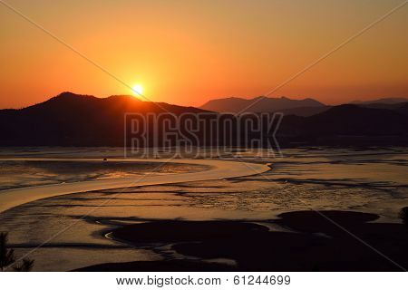 Sunset Of Reeds Field In Suncheon Bay In Korea