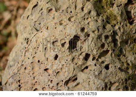Close-up Of Vesicular Basalt Surface In Jeju