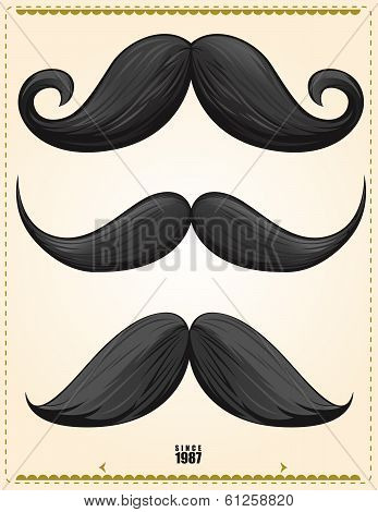 3 premium mustaches