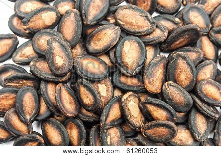 Watermelon Seeds