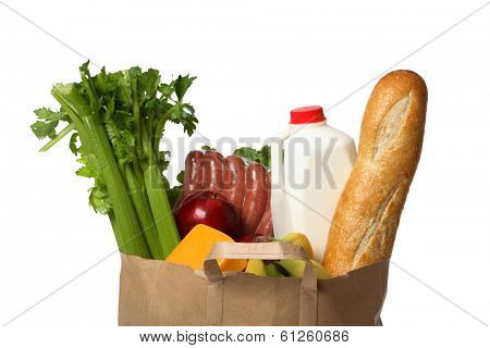 Groceries in Paper Bag