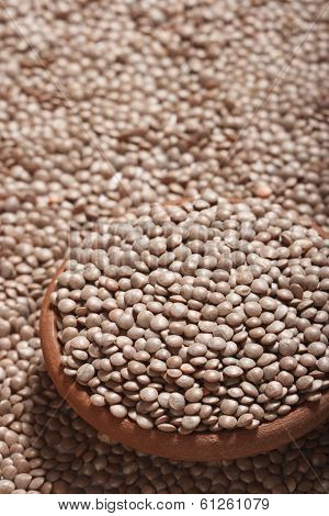 Black Masoor Dal