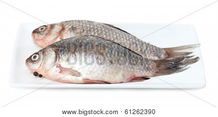 Fresh fishes on plate isolated on white 