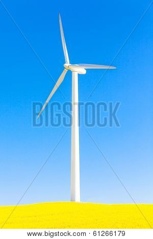new energy from alternate ressources