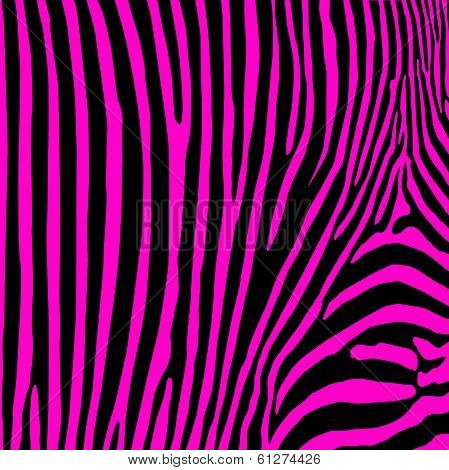 Zebra Seamless Print.