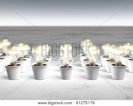 Rows Of Light Bulbs With Cold Light