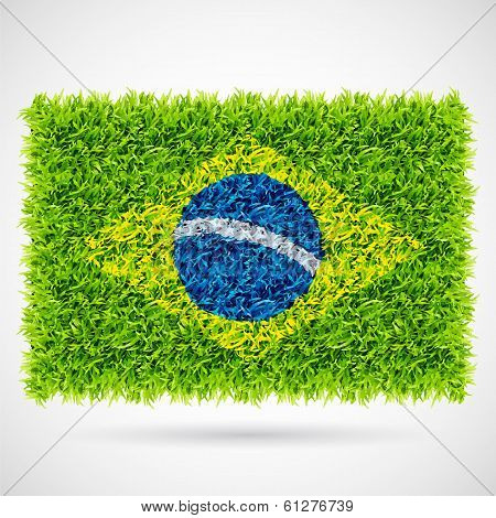 Brazil Flag Grass