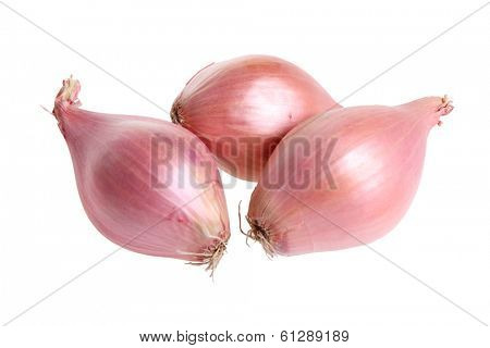 Shallots cutout on white background