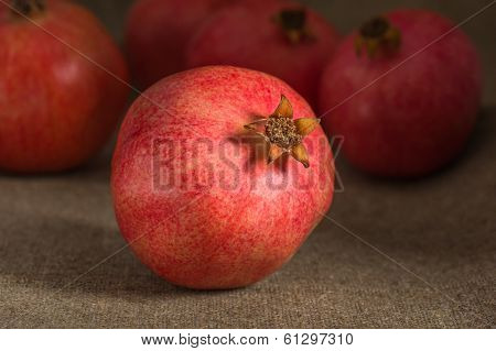 Pomegranate