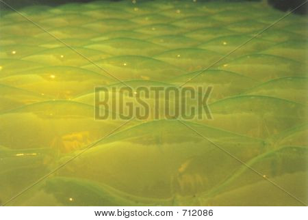 Air Matress