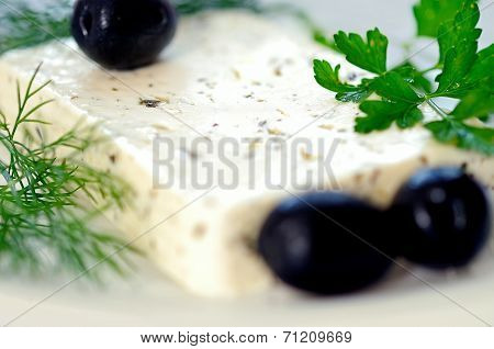 Cheese With Herbs
