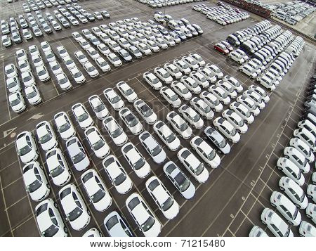 New cars in Koper port waiting for shiping.