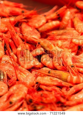 Shrimps Fish Market (fisketorget) In Bergen, Norway