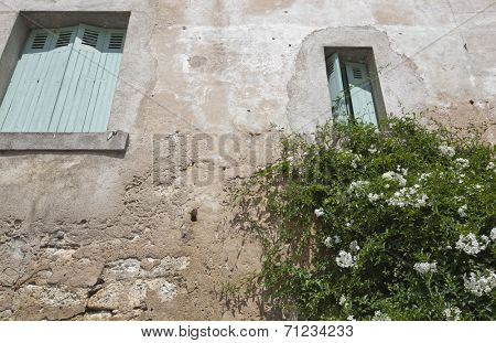 Low angle view of stone wall house with flower plant growing in foreground