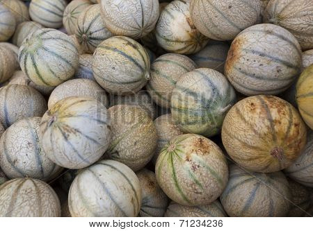 Close-up view of melons in market