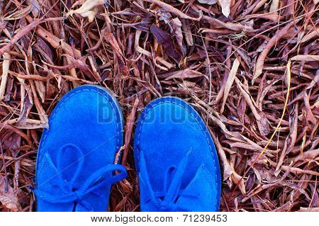 Close-up Of Shoes