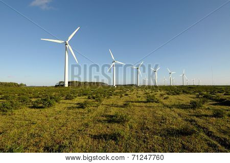 Wind Turbine
