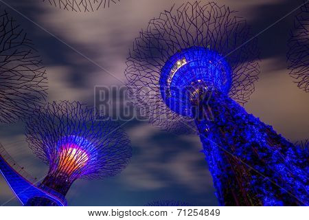 SINGAPORE-FEB 14: Night view of The Supertree Grove at Gardens by the Bay on Feb 14, 2014 in Singapore. Spanning 101 hectares, and five-minute walk from Bayfront MRT Station.