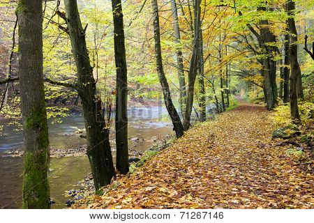 Peklo Valley in autumn, Czech Republic