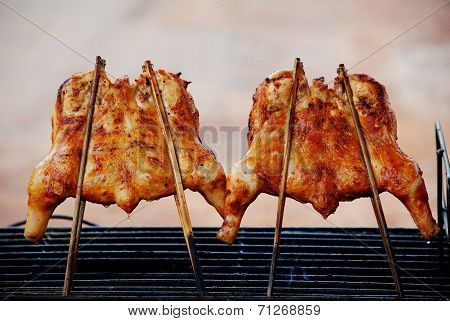 Grilled Chicken
