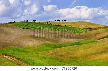 Tuscana landscapes. golden hills of Orcia. 