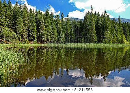 Lake landscape