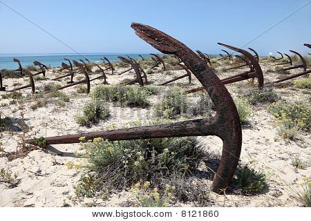 Kotwice na plaży w Portugalii