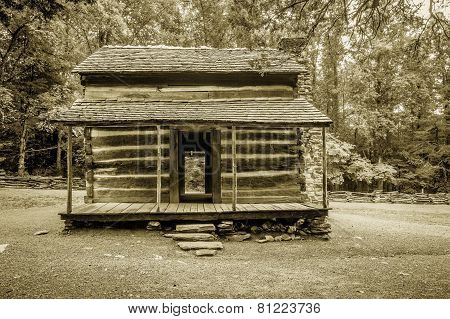 Abandoned Homestead