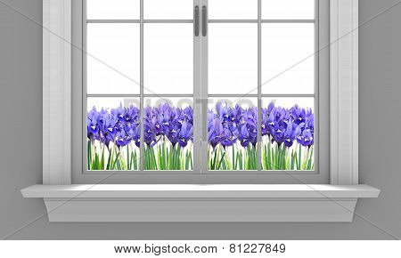 Beautiful spring irises flowering outside a house window