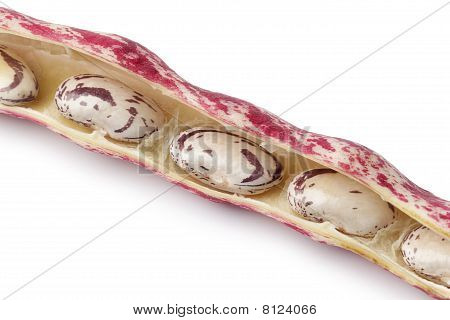 ถั่ว Borlotti ใน shell