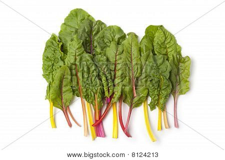 frische organische Chard Blätter