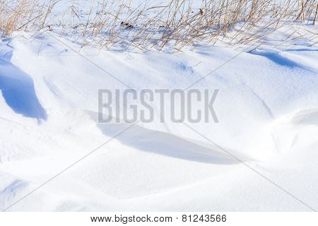 Snow Hills Field