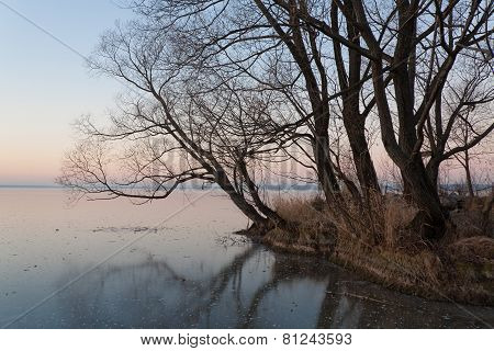 Cold Evening
