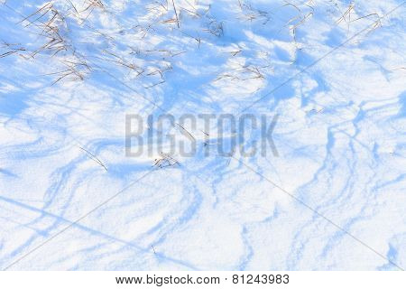 Snow Hills Field