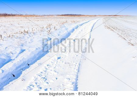 Snow Field Road Landscape