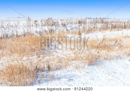 Snow Field Landscape