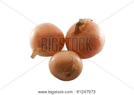 Three Yellow Onions